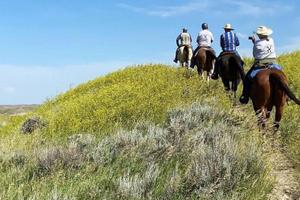 Riding towards the top of the hill