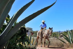 Mexico Horse Riding