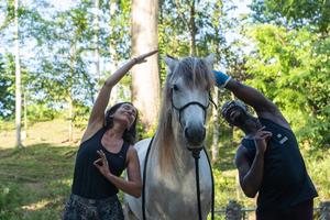 Equine Yoga Teacher Program