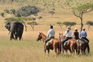 Kenya Riding Safari