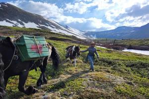 Equestrians exploring the Yukon 