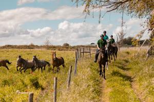 Ribatejo Riding