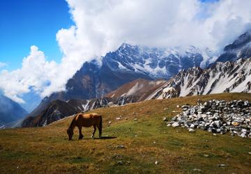 Nepal