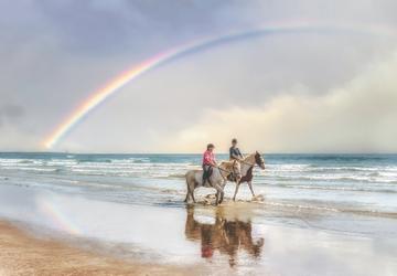 Where to Go for Incredible Beach Horse Riding Experiences