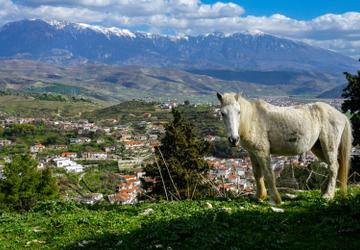 Albania