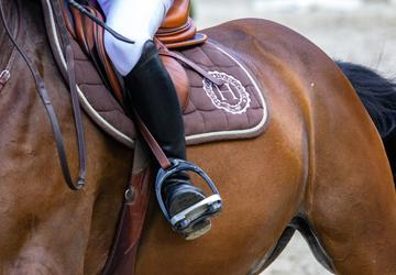 What Should You Wear for Horseback Riding: Tips for Comfort and Safety