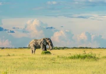 Botswana