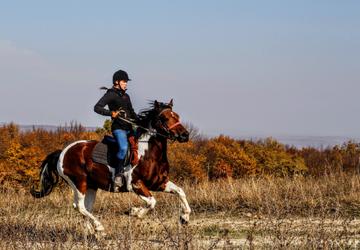 Romania