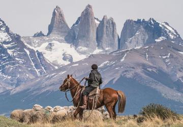 Horseback Riding in National Parks: Where Nature Is Truly Alive