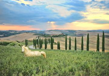 Summer Horseback Riding: Top 5 Destinations for Equestrian Adventures