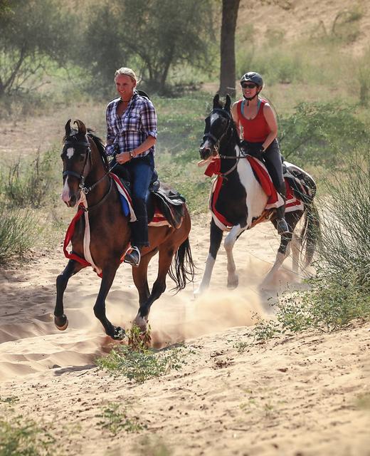 Horse Riding in India: Adventure Holidays | Horse Tours Club