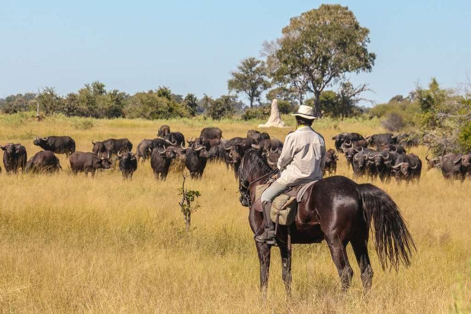 A horse rider in Africa