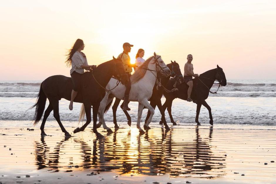 Horseback riding in the sun on the beach of Morocco