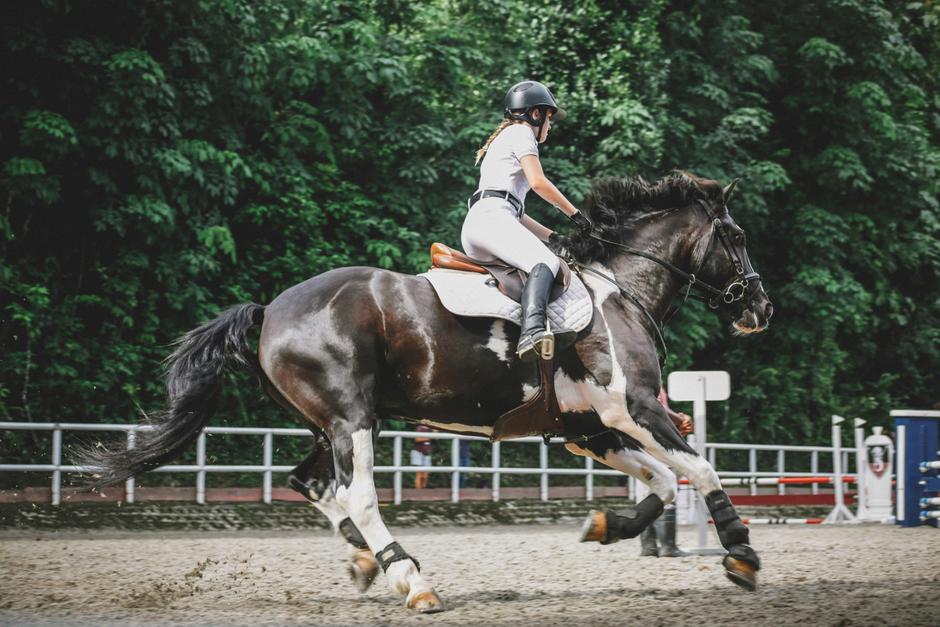 Horse Riding Lessons