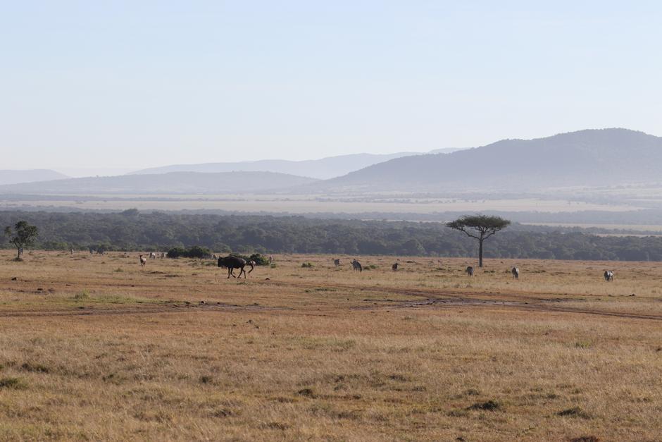 Masai Mara National Reserve