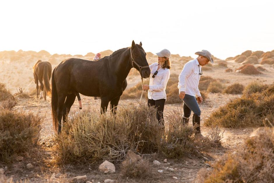 A horse with a rider in Morocco
