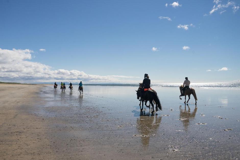 A group of tourists riding horses on the beach of Iceland